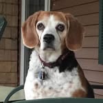 Janice Ferry - @jferry21 - Instagram