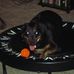 Janice Fielding - Facebook