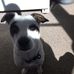 Janice Fielding - Facebook