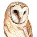 Janice Hobbs Fine Art - Facebook