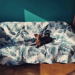 Janice Forrest - @janiceforrest757 - Instagram