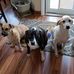 Janice Freund - Facebook
