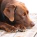 Janice Freund - Facebook
