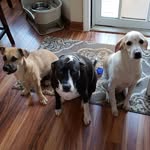 Janice Freund - @jfreund71 - Instagram