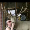 janiceg - @janicegallowithers - TikTok