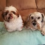 Janice Goodson - @janice.goodson.758 - Instagram