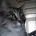 Janice Grantham - @granthamjanice - Instagram