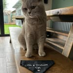 Janice Cutts & Sue Guest - @doncastercouturecatsitting - Instagram