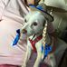 Janice Hamel - Facebook