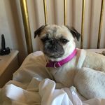 Janice Hammett - @hammettjaniceonbeingaminimum - Instagram