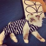 Murphy Janice Hannah-Brown - @murphytheboy - Instagram