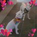 Janice Hardin - Facebook