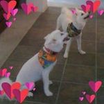 Janice Hardin - @janjanrn - Instagram