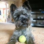 Janice Harding - @janiceharding9198 - Instagram