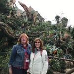 Janice Harman - @tharman212 - Instagram