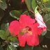 Janice Harold - Facebook