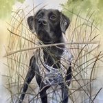 Janice Hartwig Thielsen - @jthielsenart - Instagram