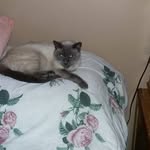 Janice Hatfield - @janicehatfield66 - Instagram