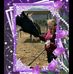 Janice Hatfield - Facebook