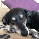 Janice Hawksley - @janicehawksley - Instagram
