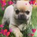 Janice Hay - Facebook