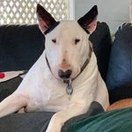 Janice Head - @jobby2363 - Instagram