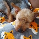 Janice Hearn - @hearn1528 - Instagram