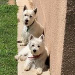 Janice L. Herring - @southpaw650 - Instagram