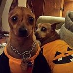 Janice Hinton - @janice.hinton.319 - Instagram