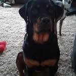 Janice Hobson - @hobson.janice - Instagram