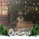 Janie Hobson - @mollybab1 - Instagram