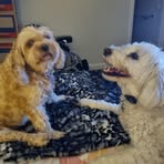 Janice Hogan - Facebook