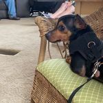 Janice Holcomb - @janiceholcomb39 - Instagram