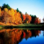 Janice Holstein - Facebook
