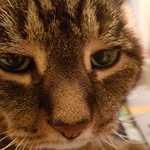 Janice howland - @janicehowland8495 - Instagram