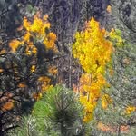 Janice K. Hummel - @janicek.hummel - Instagram