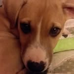 Janice Ingram - @janiceingram360 - Instagram