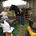Janice Jeffries - Facebook