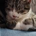 Janice Jeffries - Facebook