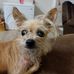 Janice Keel - Facebook