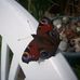 Janice Keeling - Facebook