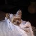 Janice Kenyon - Facebook
