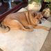 Janice Kerns - Facebook