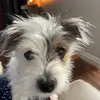 Texmam - @janycekerns - TikTok