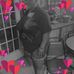 Janice Kimble - Facebook