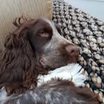 Janice Knight - @janiceknight55 - Instagram