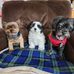 Janice Kollar - Facebook