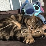 Janice Kost Kollar - @jtk.rn - Instagram