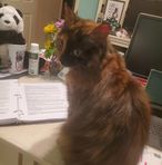 Janice Kopp - Facebook