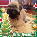 Janice Kraft - @juniormint1063 - Instagram
